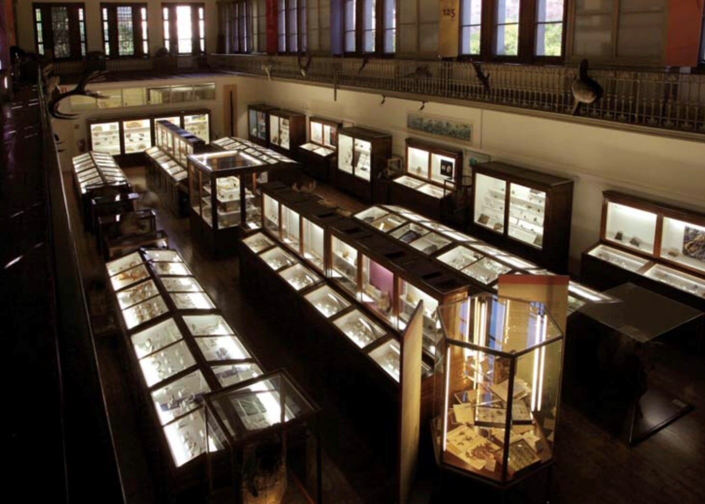 Vitrine XXème