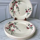 5 flat plates Digoin Sarreguemines model Aigues-Vives hand painted years 30-40