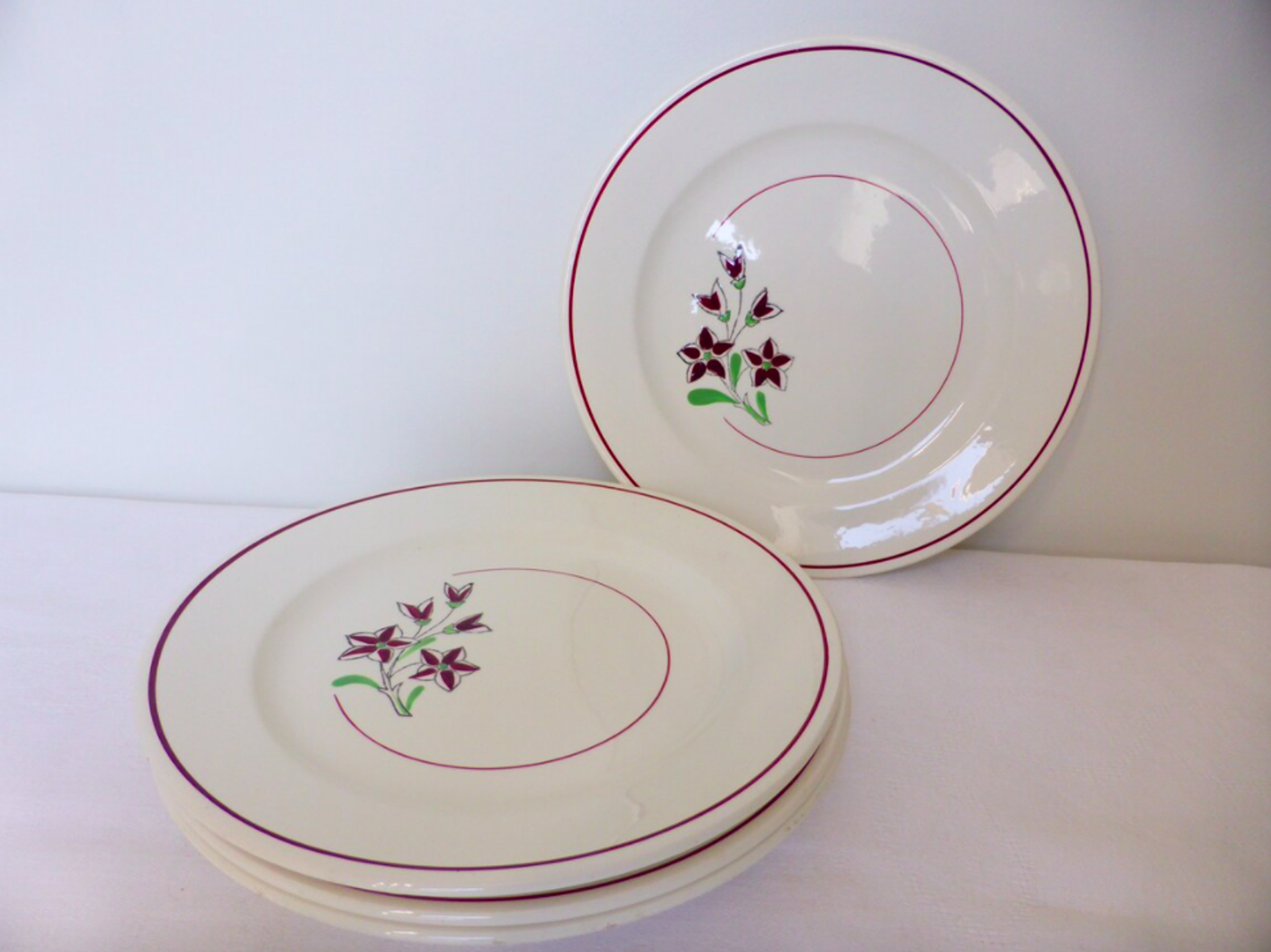 Set of 4 vintage porcelain dinner plates from the Salins factory