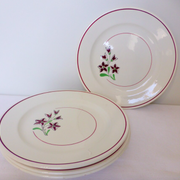Set of 4 vintage porcelain dinner plates from the Salins factory