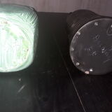 Accolay pitchers