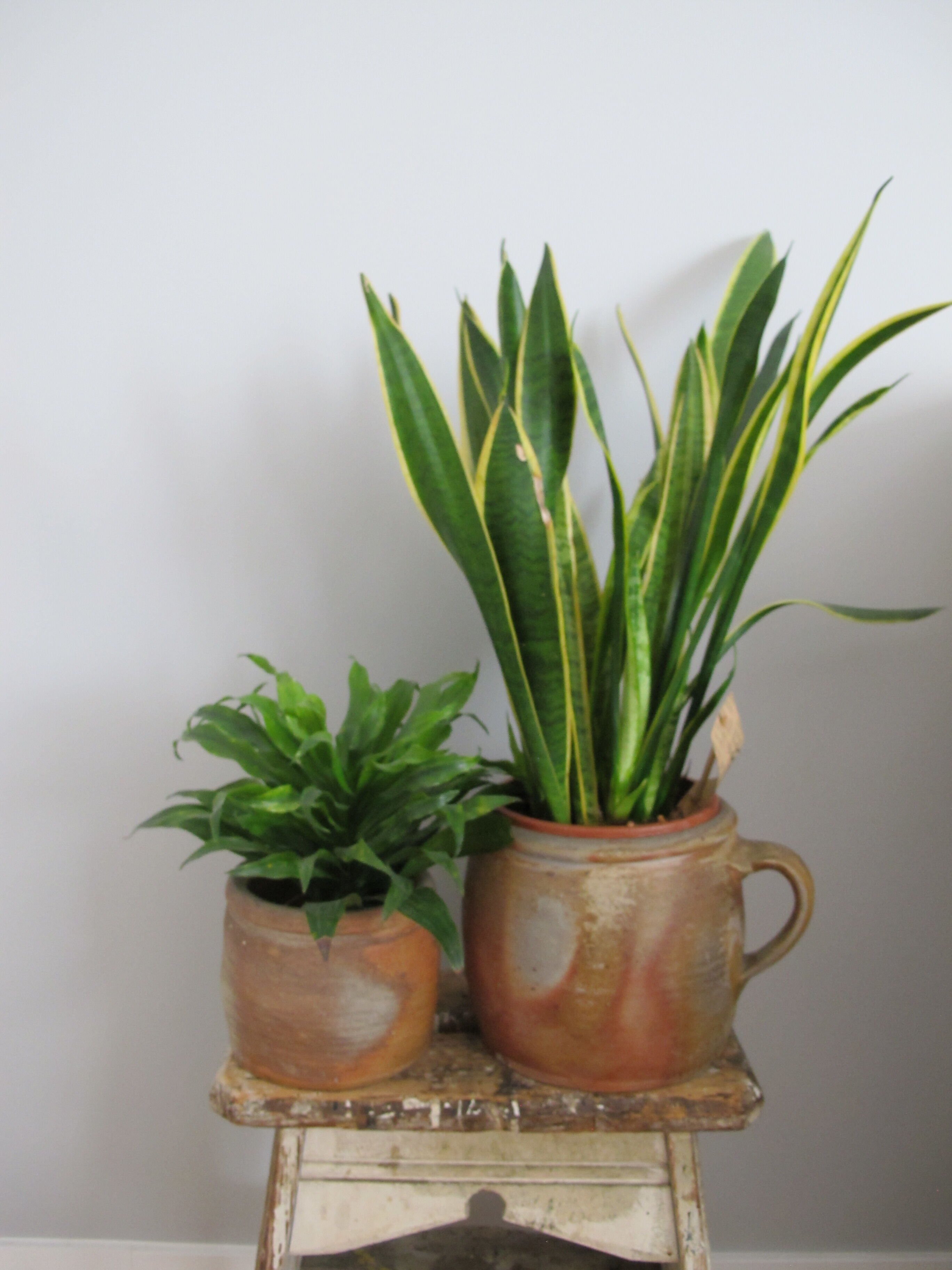 Old Pot in Sandstone