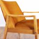 Scandinavian-designed chair in solid beech and mustard velvet