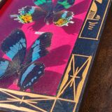 Vintage naturalized butterfly frame