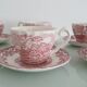 Myotts Country Life Set of 6 Cups and Saucers - England