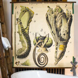 Poster "Butterfly" of the 20th century Paul Pfurtscheller 1912