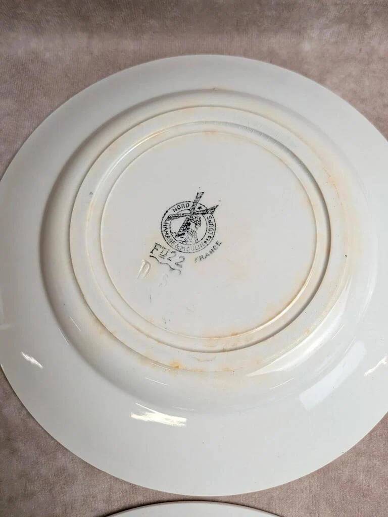 Set of 7 flat plates in ironstone Moulin des Loups FTI 22