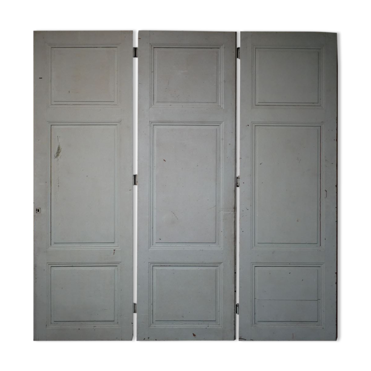 Antique painted wooden doors