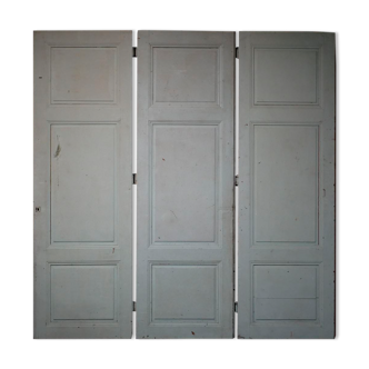 Antique painted wooden doors
