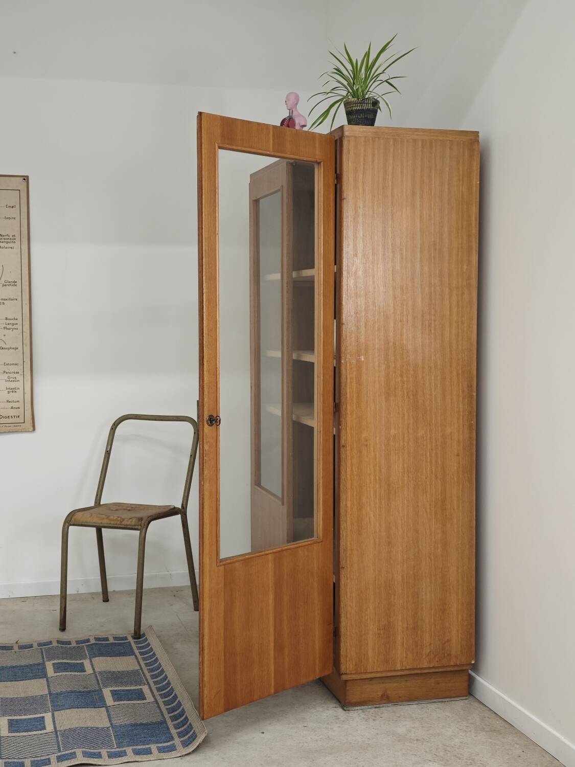 Oak glass-fronted school cabinet 1960