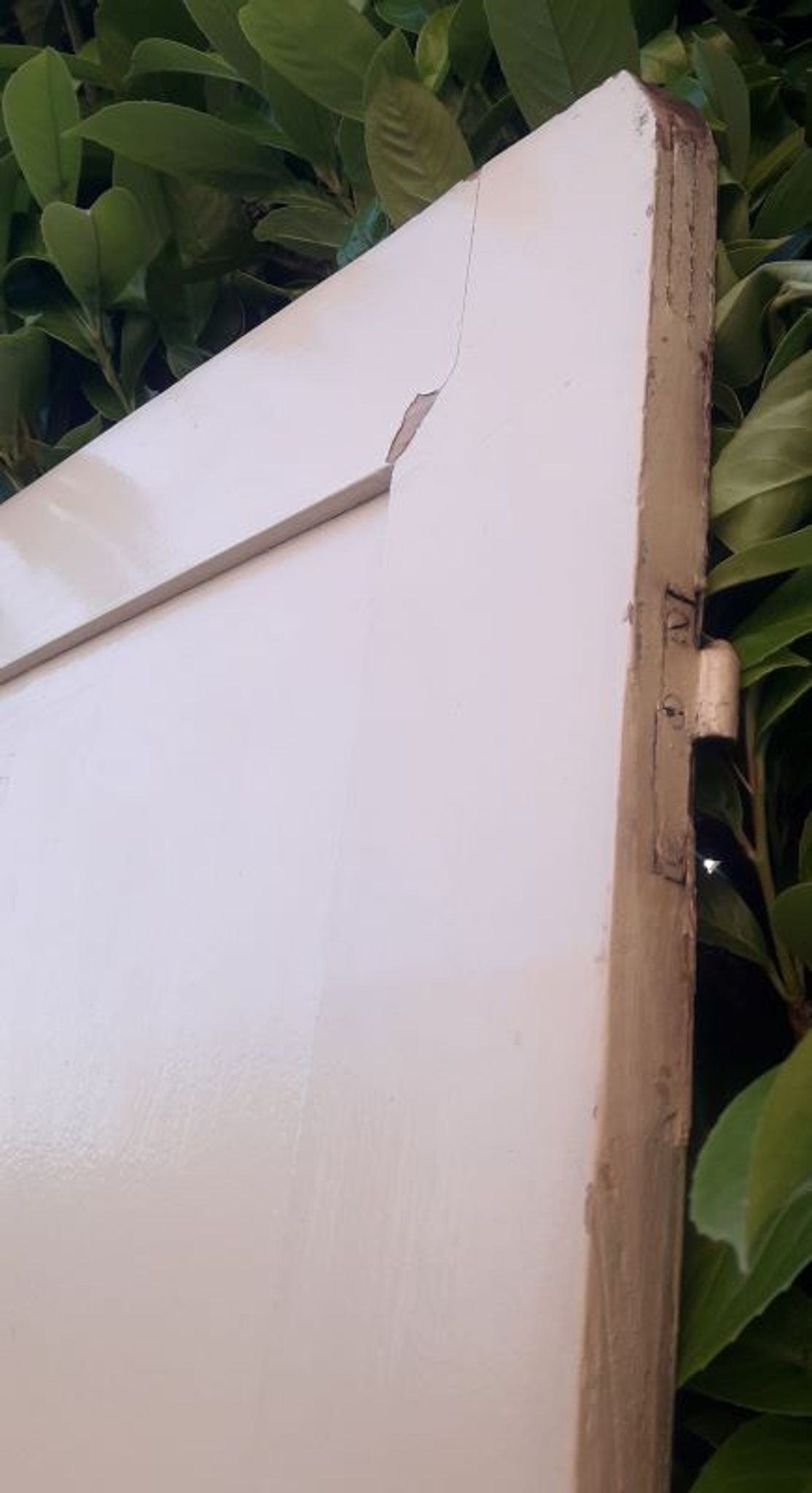Porte 229,2x79,2cm de placard ancienne