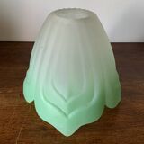 Glass tulip