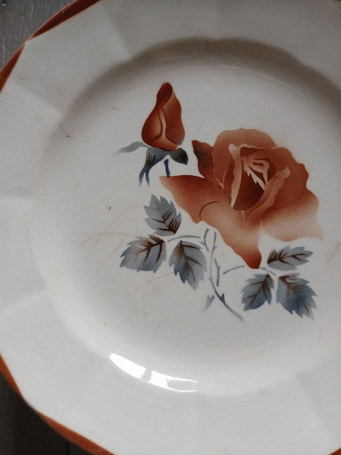 25 old Digoin and Sarreguemines plates