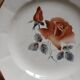 25 old Digoin and Sarreguemines plates
