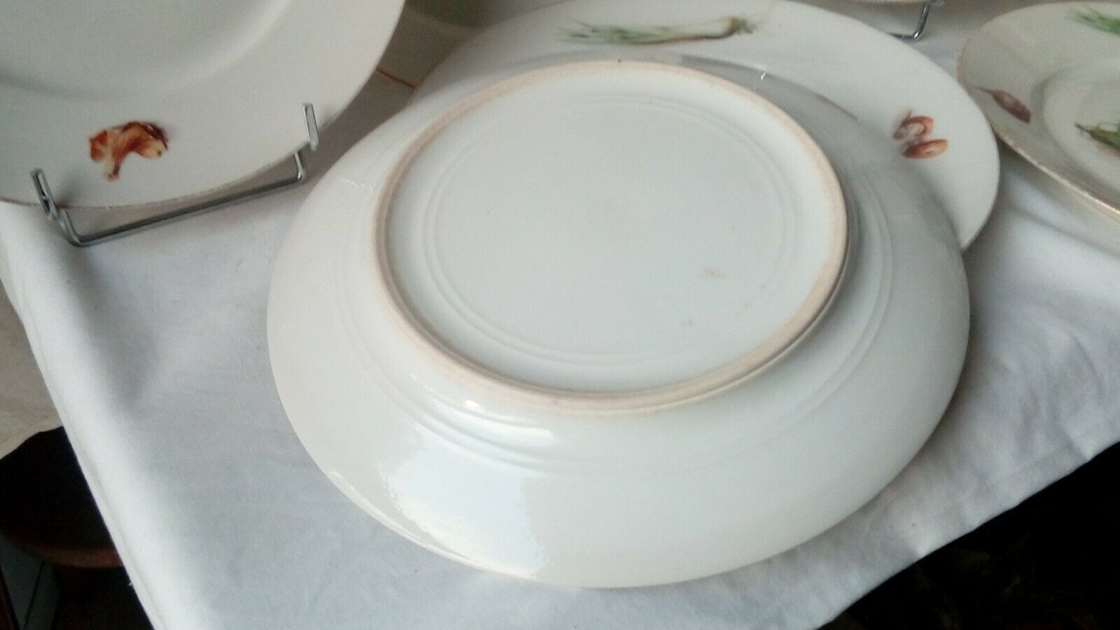 6 FLAT PORCELAIN PLATES THICK DECOR VEGETABLES 4 SEASONS