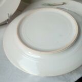 6 FLAT PORCELAIN PLATES THICK DECOR VEGETABLES 4 SEASONS
