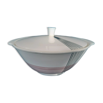 Handgemalt earthenware tureen "hand-painted" Model CAPRICE VILLEROY AND BOCH METTLACH