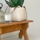 Plant holder