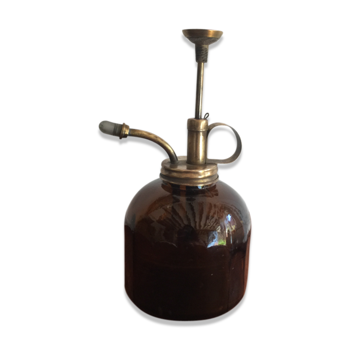 Brass plant and glass spray