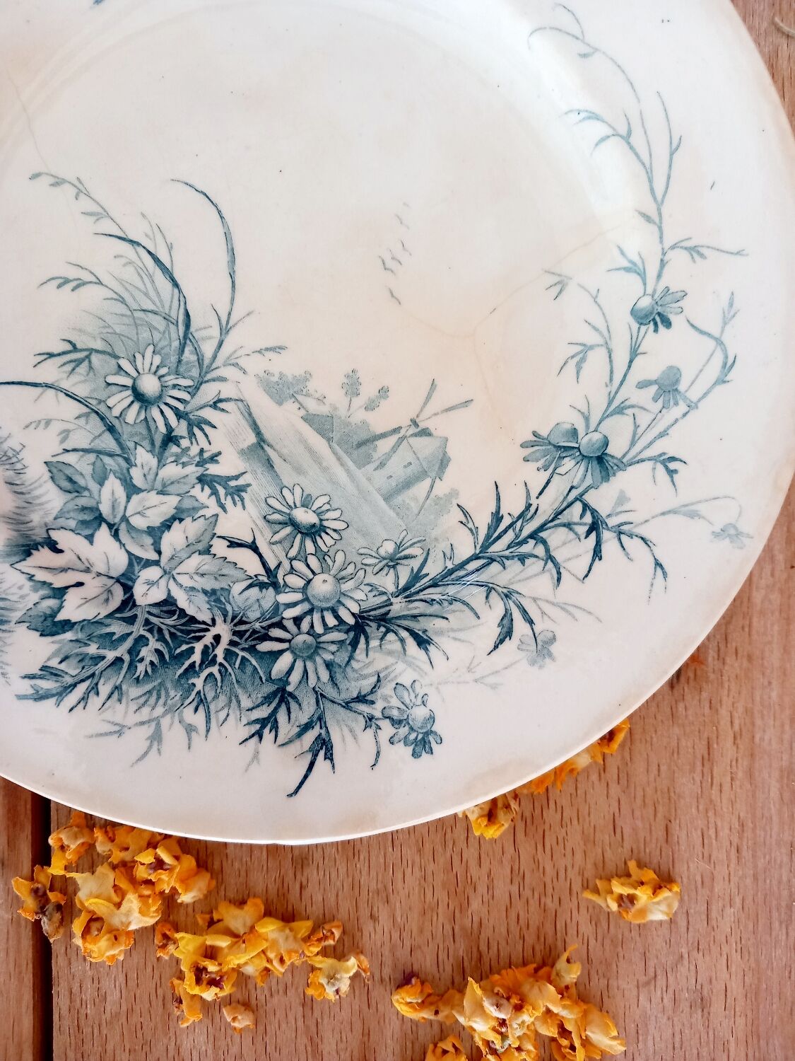Assiette à dessert Giens Paysage