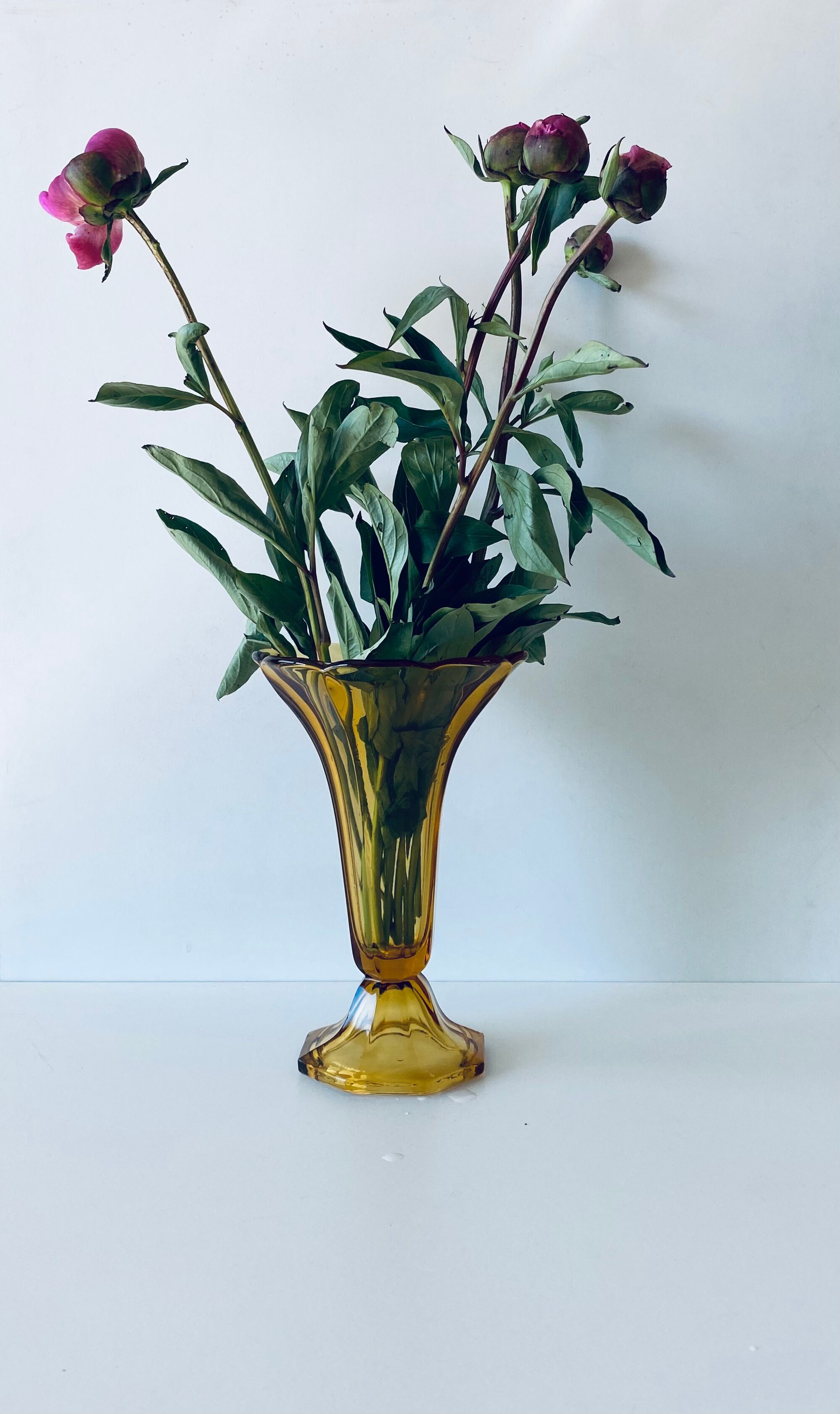 Ancient tulip vase in amber glass