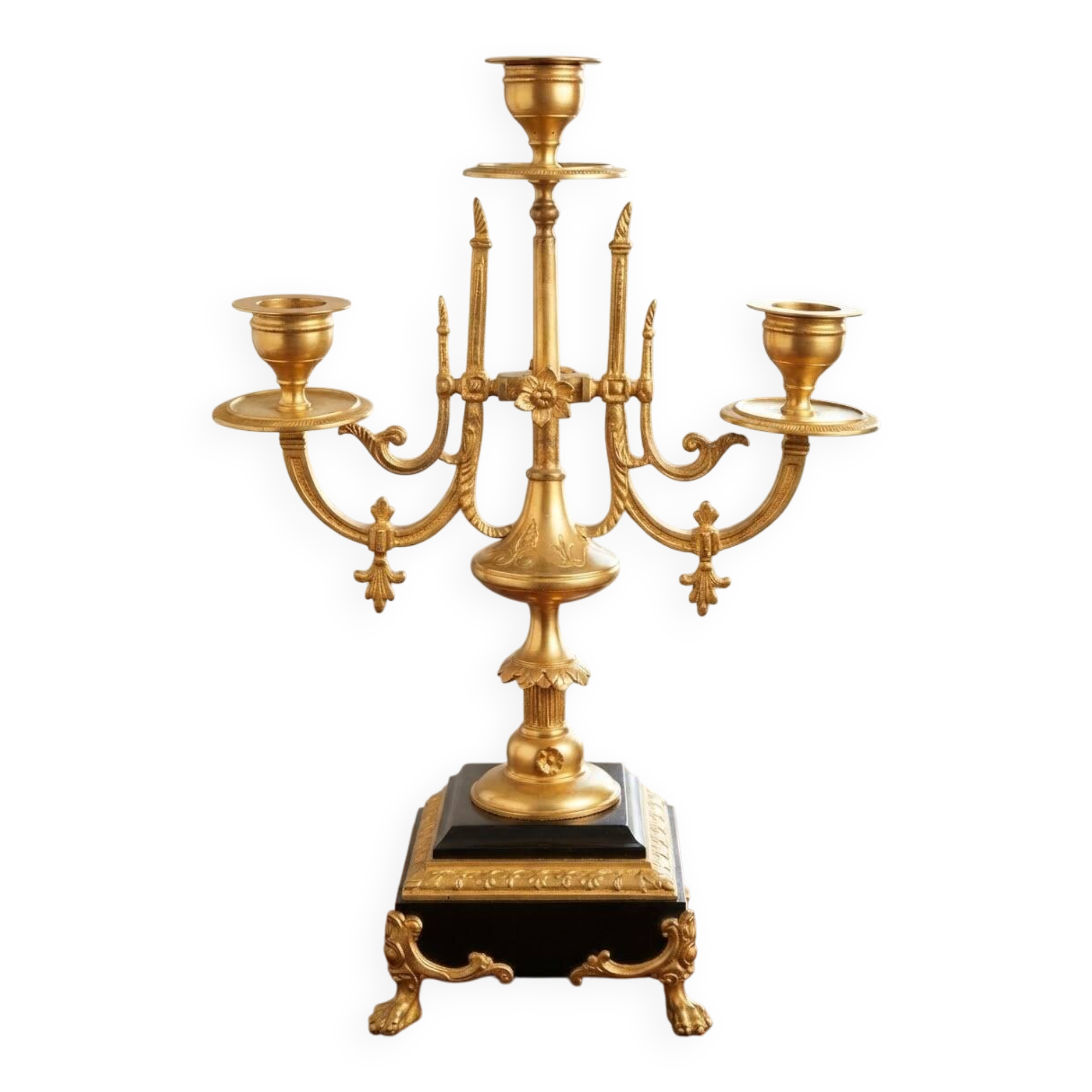 Candelabrum with multiple lights from the Napoleonic III period.