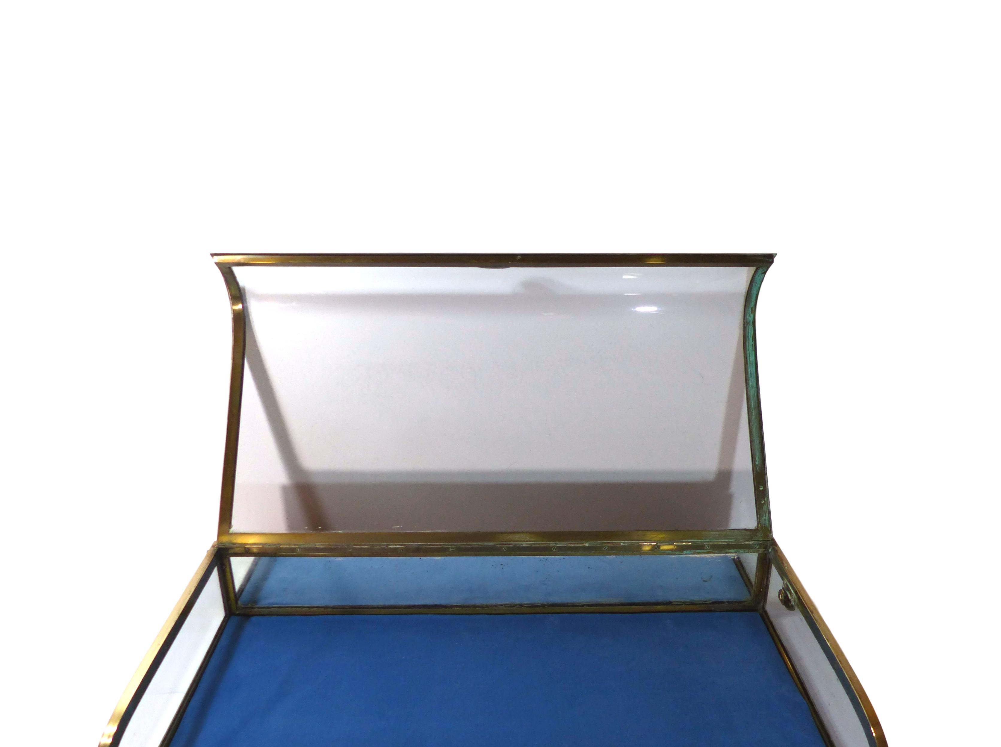 Showcase glass dome and gilded brass
