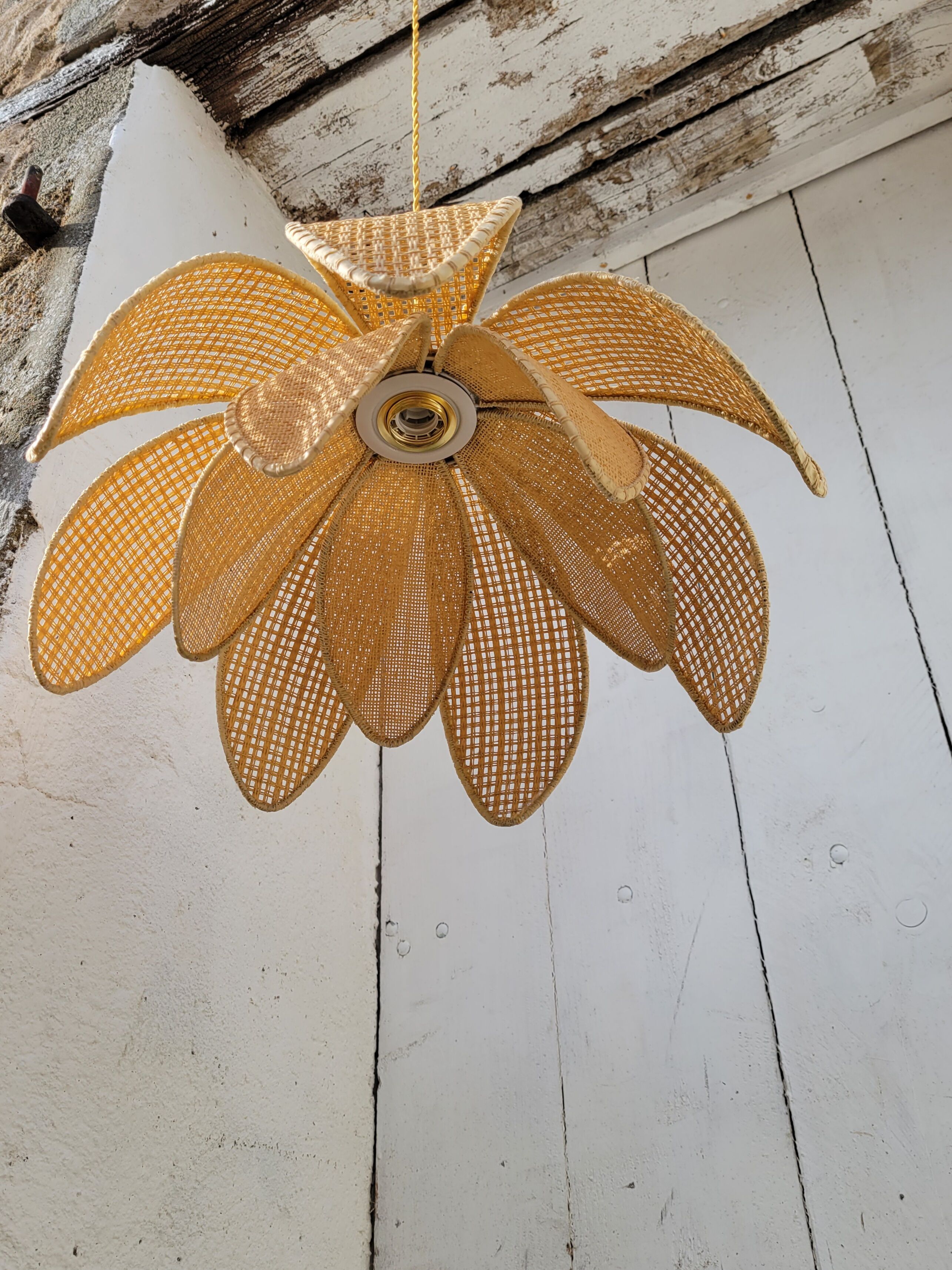 Rattan palm suspension and canning