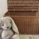 Vintage Rattan Chest Basket