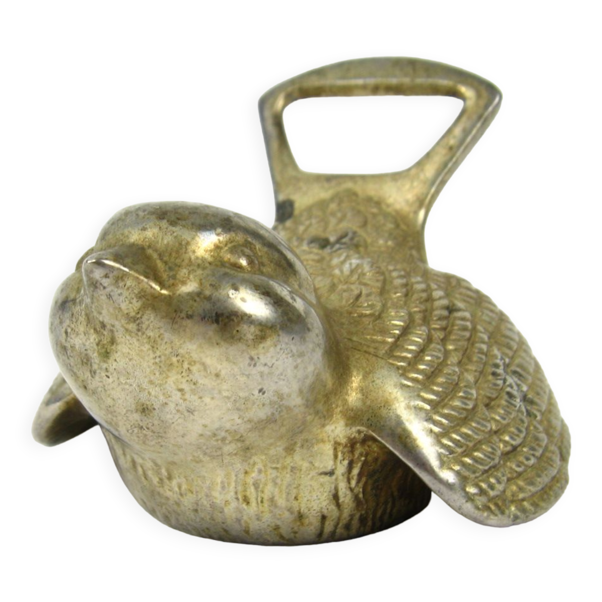 Bottle opener bird