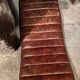 Chaise longue
