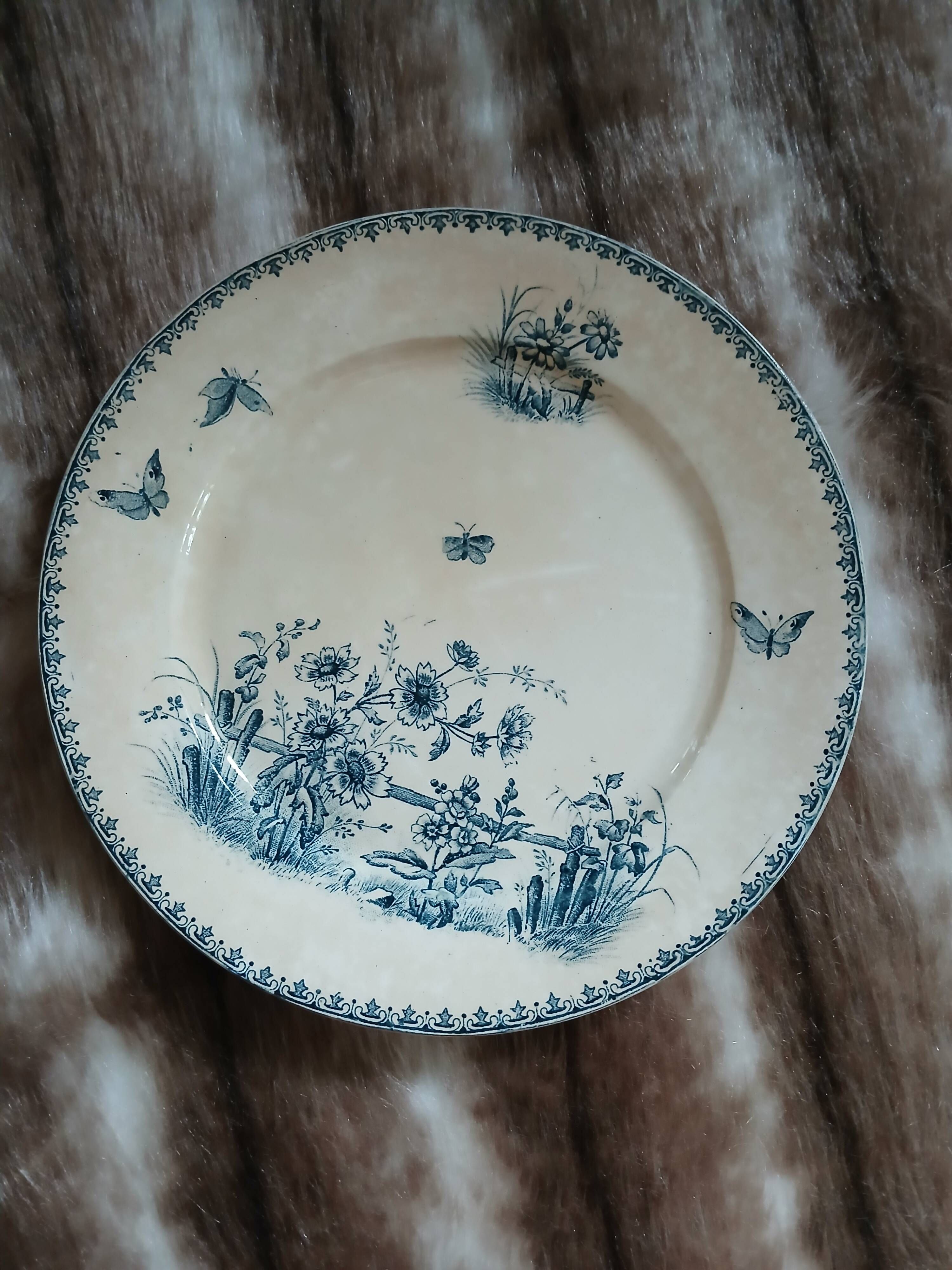 6 antique flat plates in ironstone