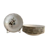 10 hollow plates Digoin Sarreguemines model Tyrol, 1950