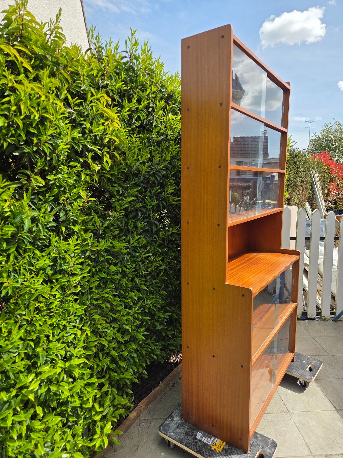 Display cabinet/bookcase