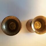 Set of 2 brass cockroaches