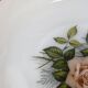 Set de 6 assiettes creuses Arcopal Rose de France