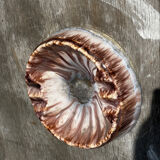 Empty Ashtray Pocket in Ceramic Marble Effect D 14 cm