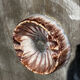 Empty Ashtray Pocket in Ceramic Marble Effect D 14 cm