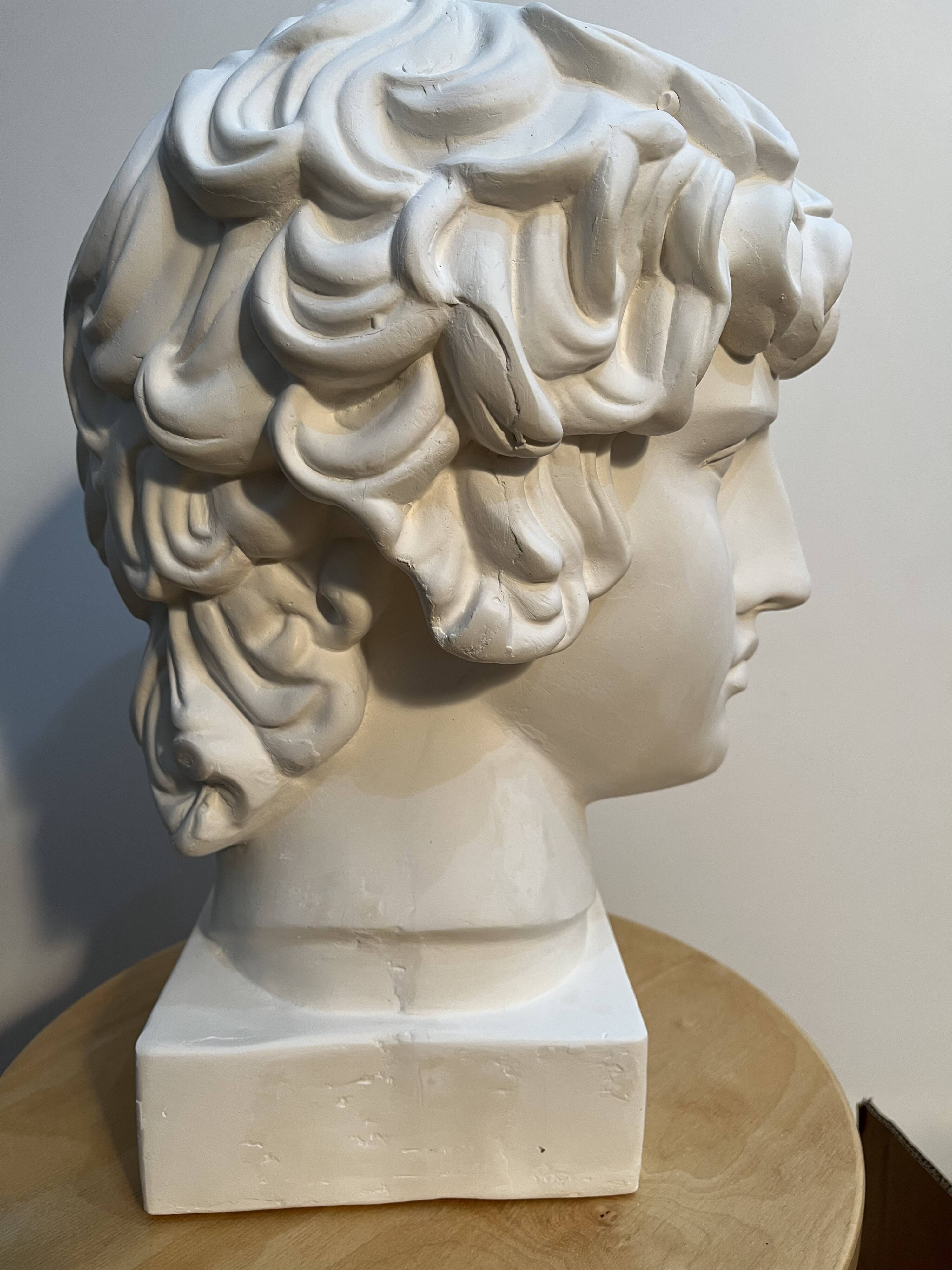 Buste en plâtre d'Antinous - Réplique de l'Antinous de Farnèse