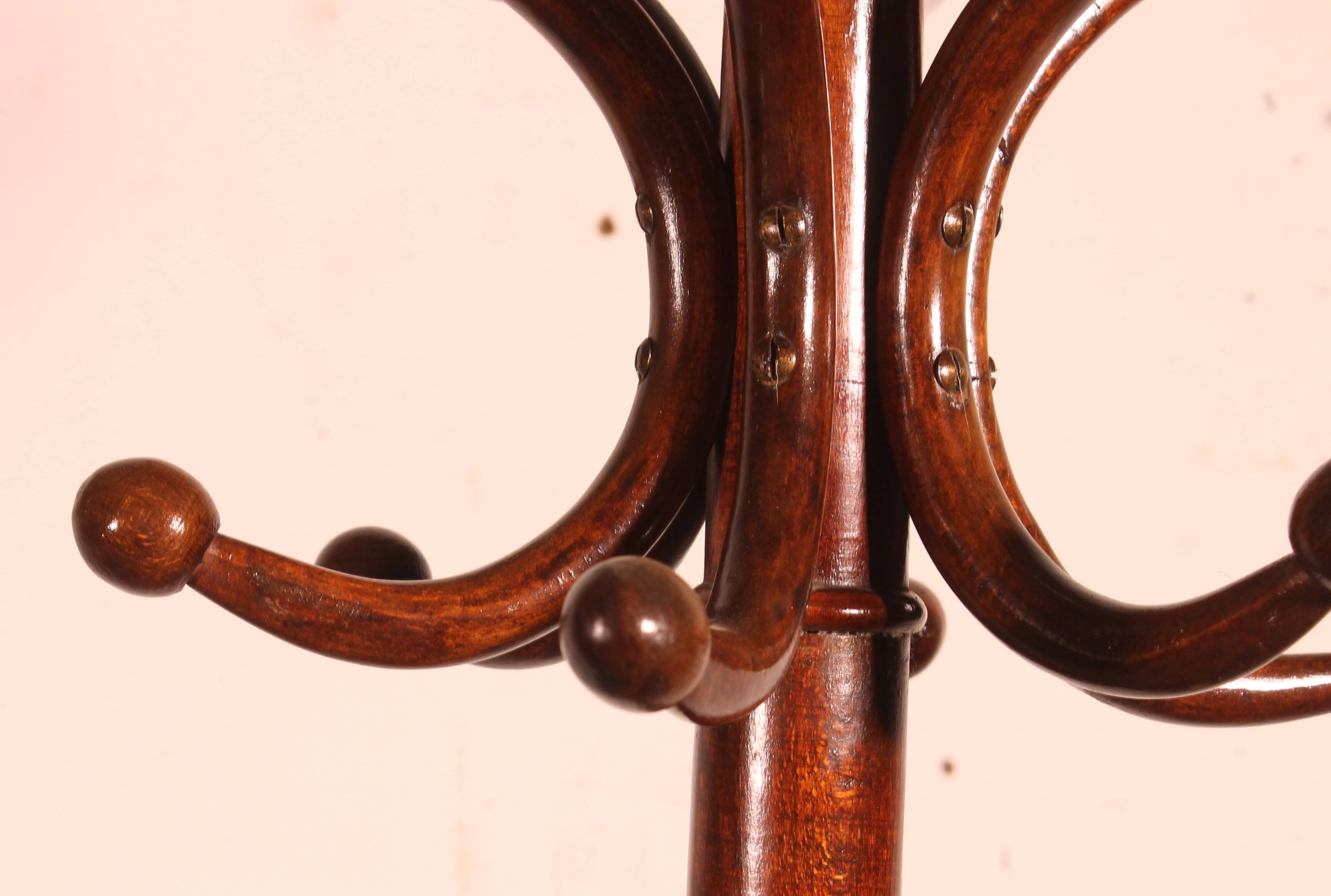 Parrot coat rack, Art Nouveau, known as Thonet
