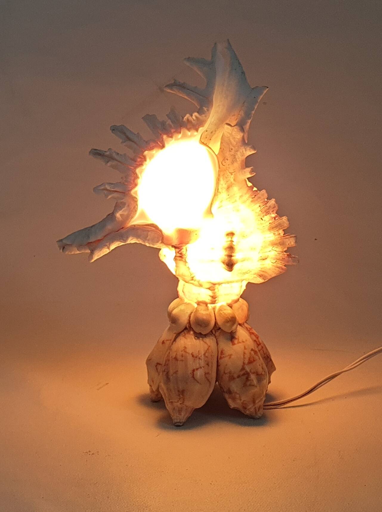 Mid-Century Souvenir Shell Lamp, France 1960s