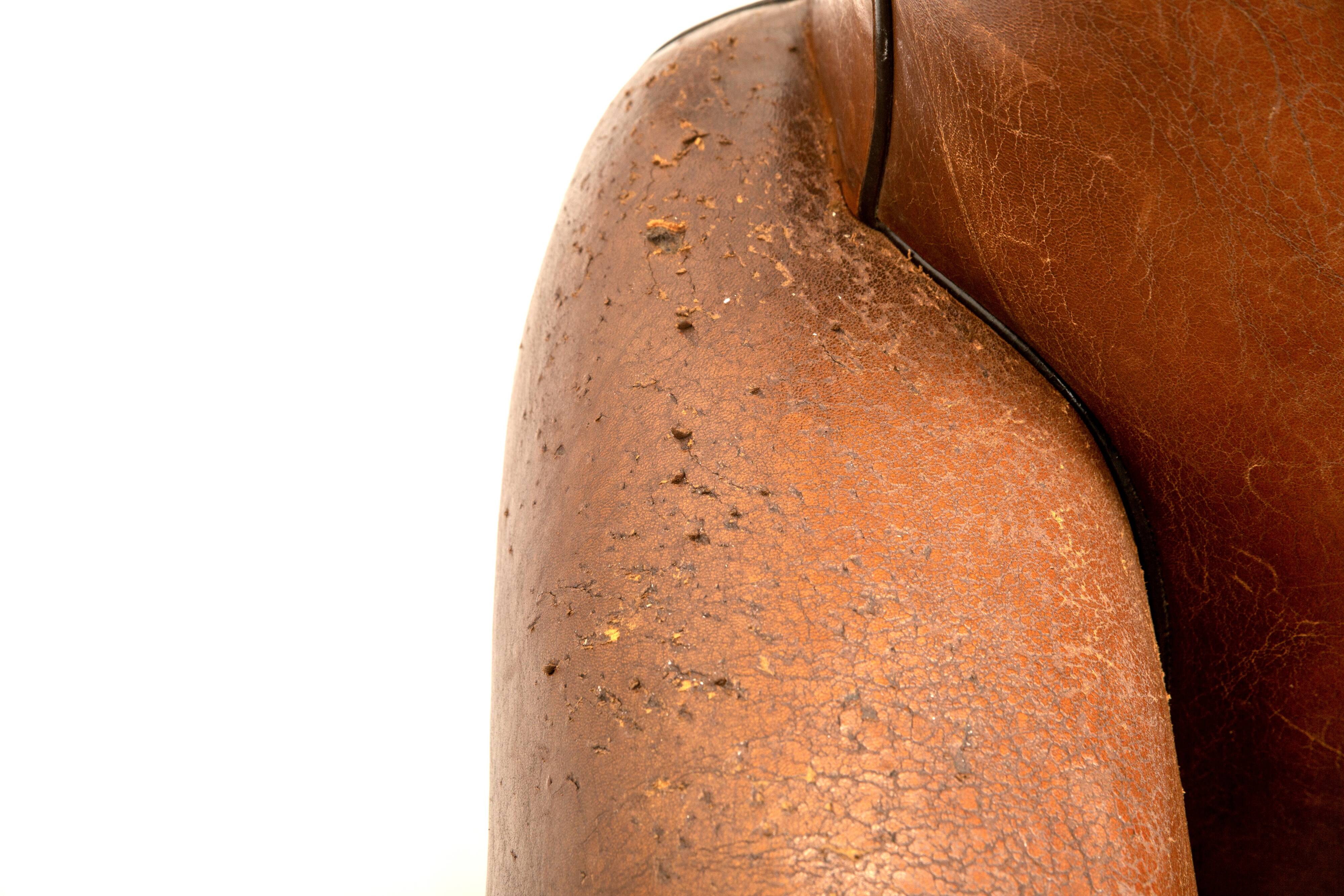 Fauteuil club cuir moustache