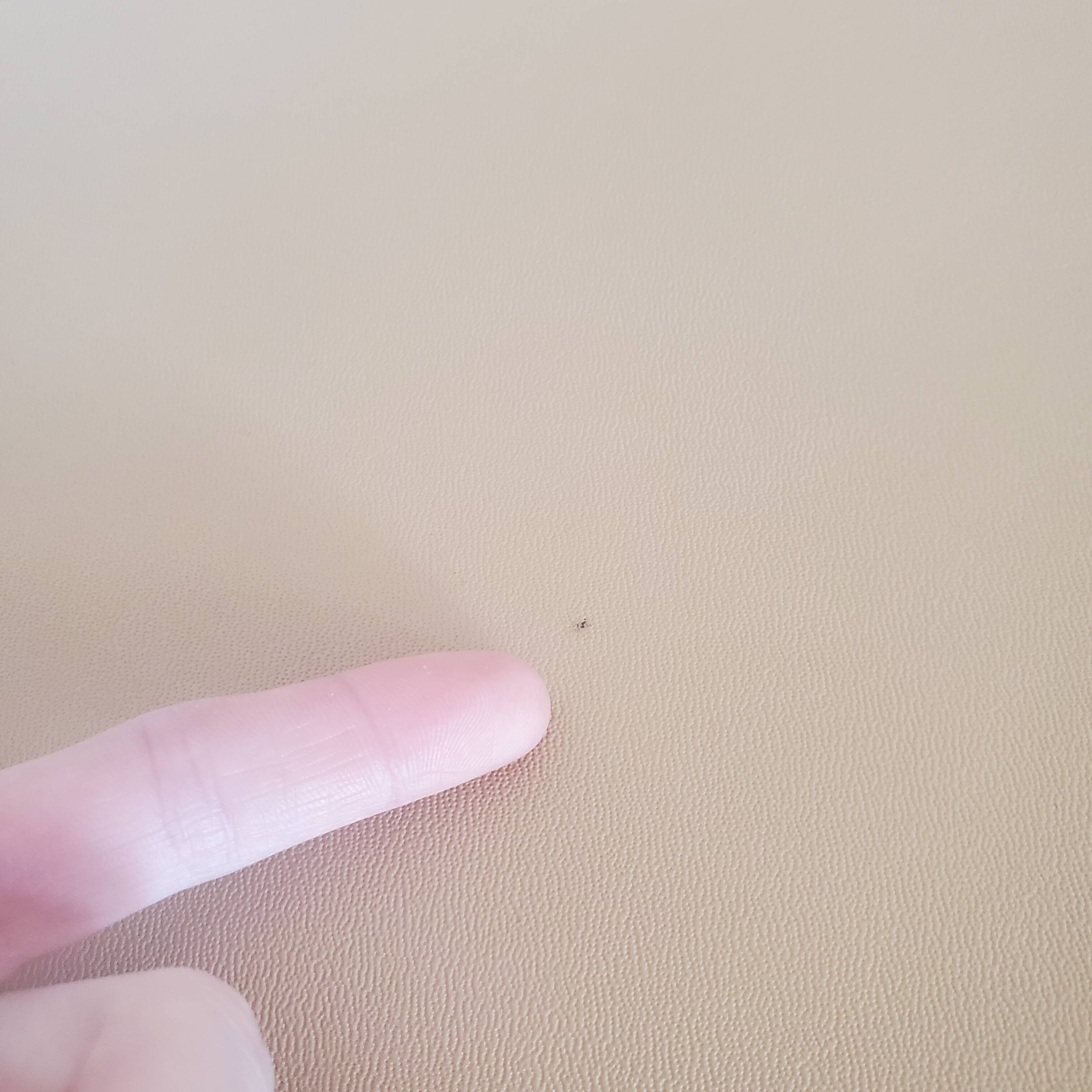 Beige leather armchair