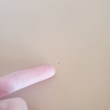 Beige leather armchair