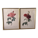 Paire de gravures Redouté