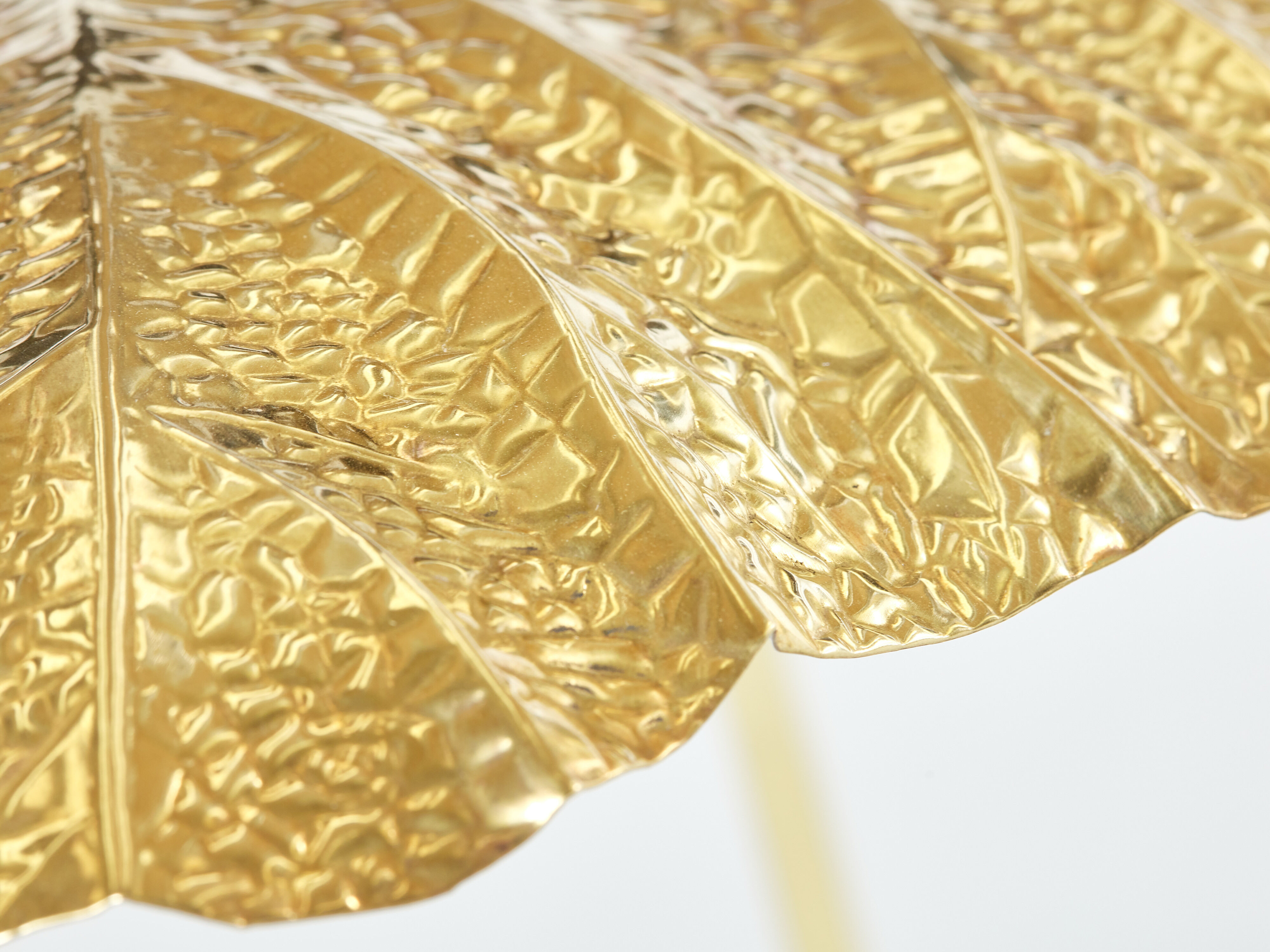 Rhubarb lamp in brass by Tommaso Barbi 1970