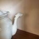 White ceramic teapot