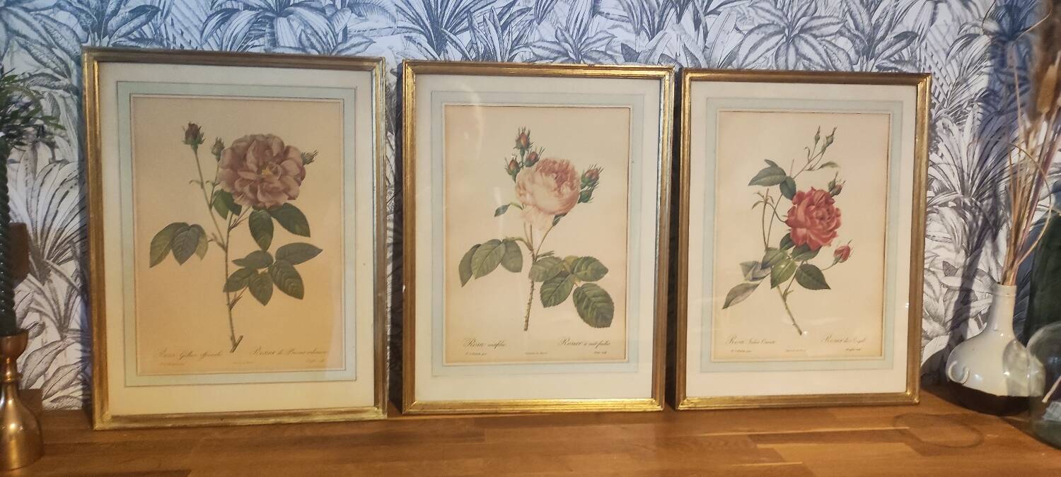 Redouté executive trio