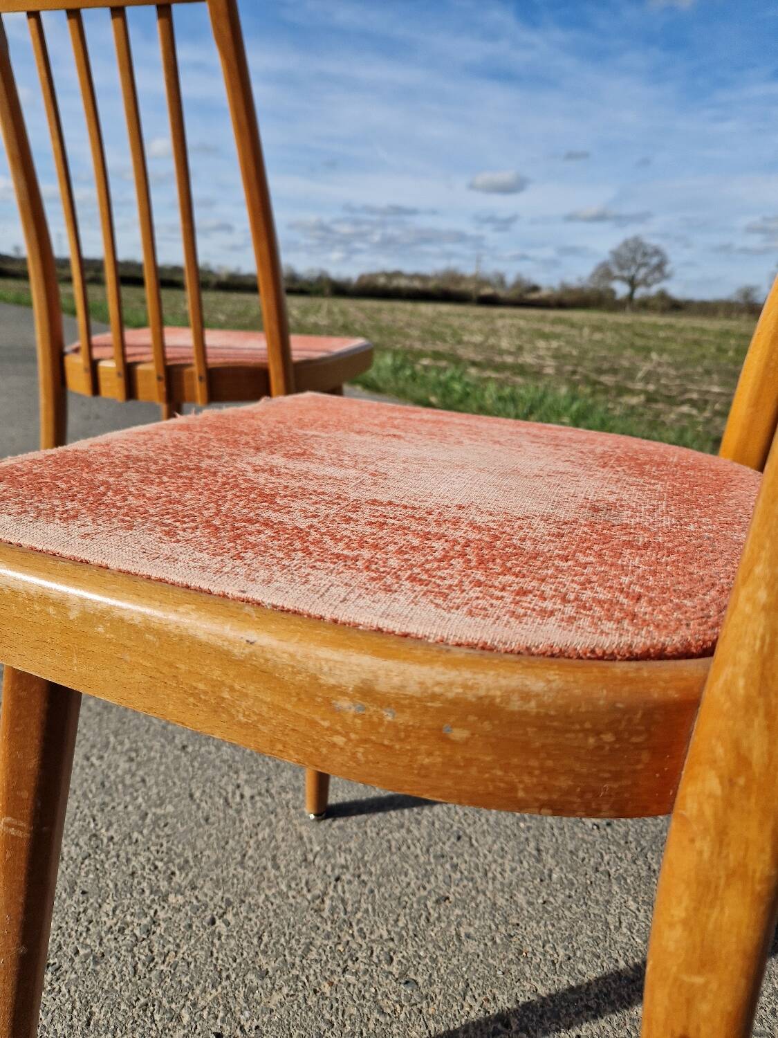 Lot de 4 chaises d'Antoine Suman