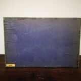 Carde ancient butterflies